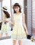 蒋さんは2019夏の新商品ジゼル半袖ワンピス女性韓国版タウフの刺繡が甘い小さい柄の長身スカート丸首プレトン型スポットラインタイプのスポットライト(125-135適当)です。