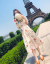 ゼレの影ジゼルのワンピス2019夏NEW女装韩国版プリントのウエストが细く见える中、长い花柄ストの女性画像カラープロ2 XL
